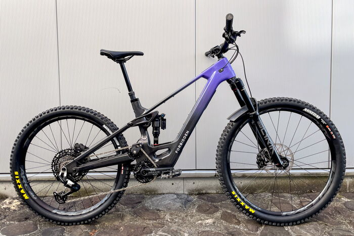 Forbidden Druid Lite E-Bike Sport Trend Shop