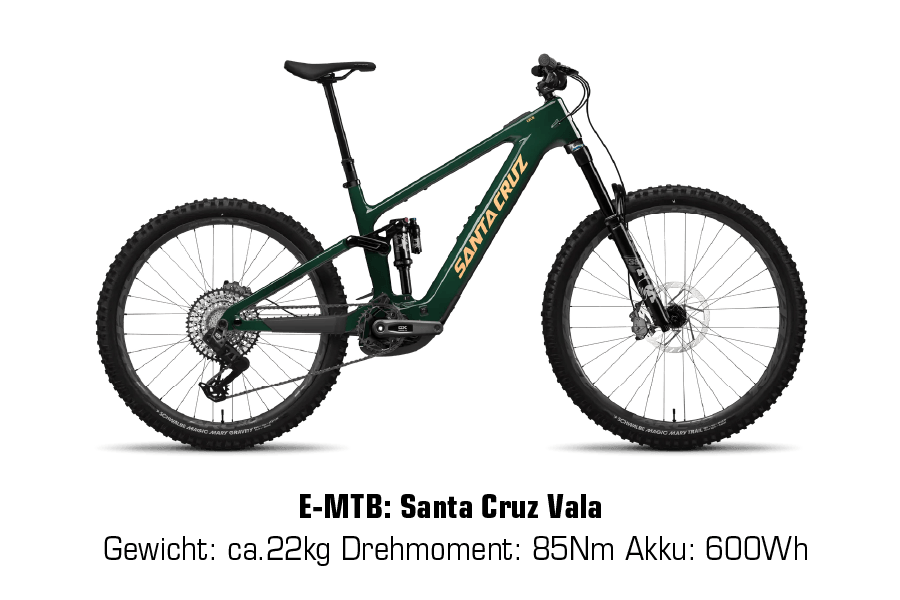 Santa Cruz Vala Sport Trend Shop