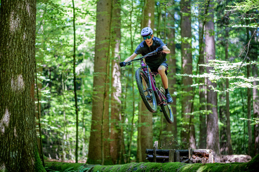 Santa Cruz Heckler SL Sport Trend Shop